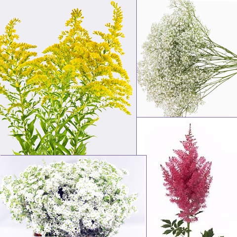 Accent Flowers